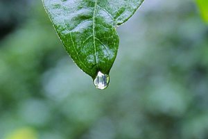 Image of Valley Pressure Pros