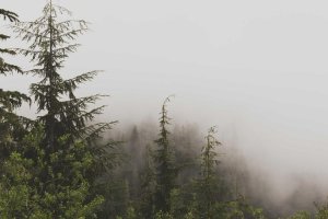 Image of HERNANDEZ LAND AND HARDSCAPING