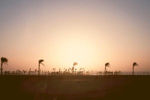 Image of HERNANDEZ LAND AND HARDSCAPING