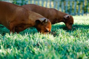 Image of San Diego Power Clean, Inc.
