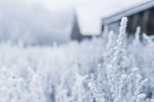 Image of So Cal Cleaning Services