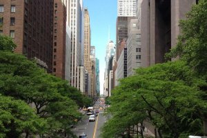 Image of Tru Green Long Beach