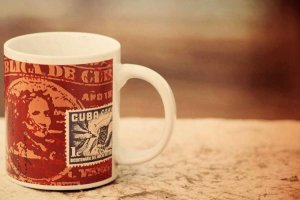 Image of The Pro Washing Services