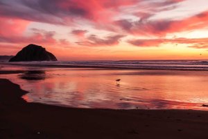 Image of Grassland Landscape and Lawncare