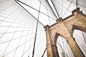 Image of Grassland Landscape and Lawncare