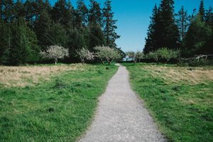 Image of Maxx Pressure