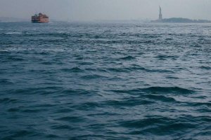 Image of RM LANDSCAPE DESIGN