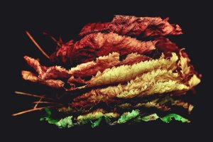 Image of Long Beach Roofing Services