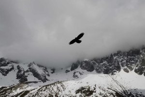 Image of Long Beach Roofing & Repair