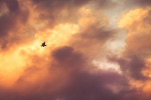 Image of Mariam Long Beach ADU Builders