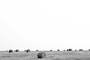 Image of Mariam Long Beach ADU Builders