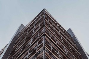 Image of Jose landscaping and gardening services