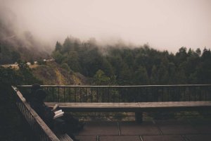 Image of Jose landscaping and gardening services