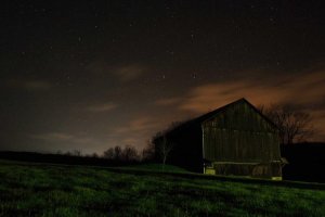 Image of The Roof Whisperer