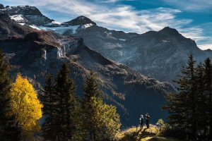 Image of Reliable Landscape Service