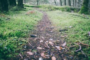 Image of Best Roofing Expert Paramount