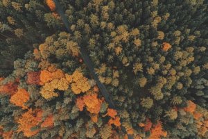 Image of TotalCover Solutions