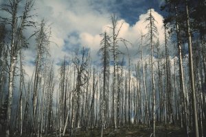 Image of TotalCover Solutions