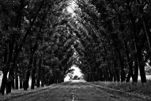 Image of Top Roofing Contractor