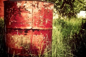 Image of Vicente's Lawn Service