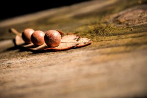 Image of Ridge Roof Contractors Co.