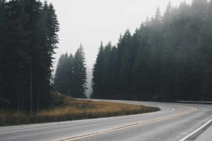 Image of RICH THE ROOFER 