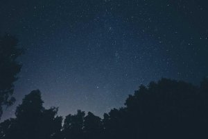 Image of RICH THE ROOFER 