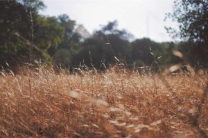 Image of BH Roofer & Commercial Roofing