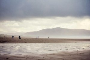 Image of Limited Landscape