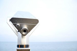 Image of Juan M.E Gardening Service