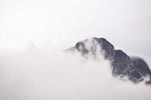 Image of Romero's Gardening Service