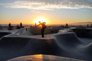 Image of Zamora Gardening Service