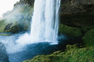 Image of Gonzalez Professional Gardening