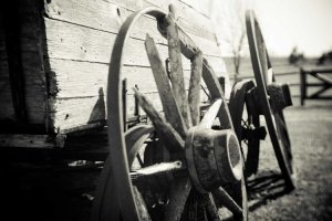 Image of Drain All Rooter