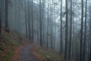 Image of Gagiho Roofing Supply LLC