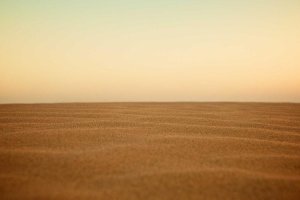 Image of LA Pool Guys