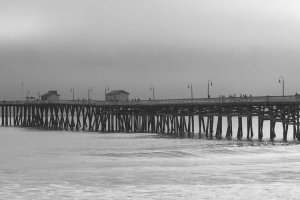 Image of Gardener Pablo