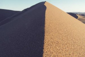 Image of Salco Landscape Services