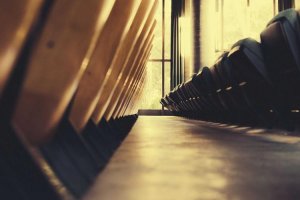 Image of Paul Formica