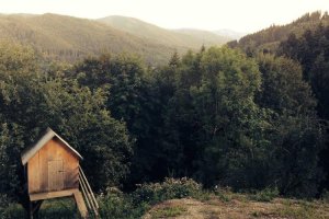 Image of Paul Formica