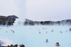 Image of Vasquez Lawn Services