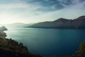 Image of Frank's Gardening Services