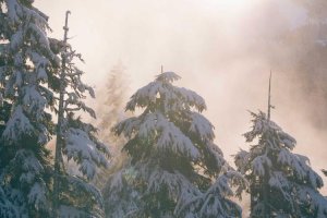 Image of Patrick Miller Painting