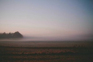 Image of Martinez Js Landscaping