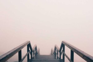 Image of Martinez Js Landscaping