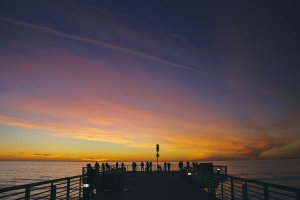 Image of USA Landscape Maintenance