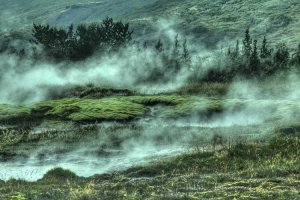 Image of King Max Landscaping Maintenance LLC