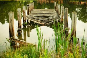 Image of More Life Landscaping