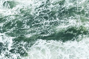 Image of More Life Landscaping