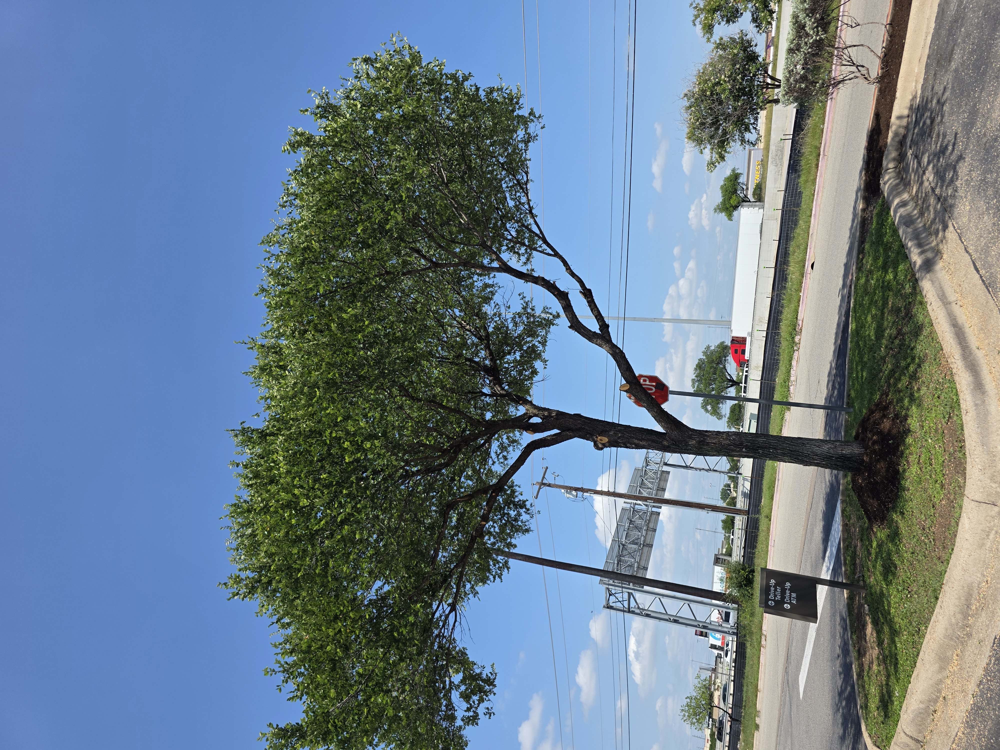 Work image 1